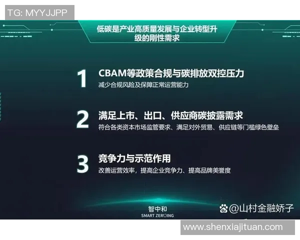欧盟推出碳边境调节机制，实现全球气候目标？