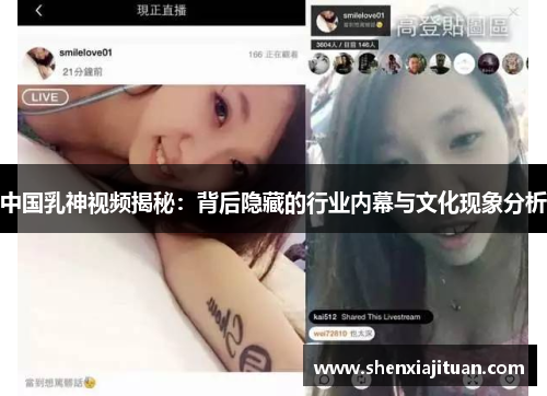 中国乳神视频揭秘：背后隐藏的行业内幕与文化现象分析