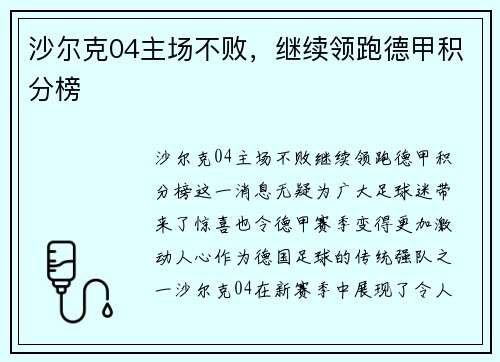 沙尔克04主场不败，继续领跑德甲积分榜